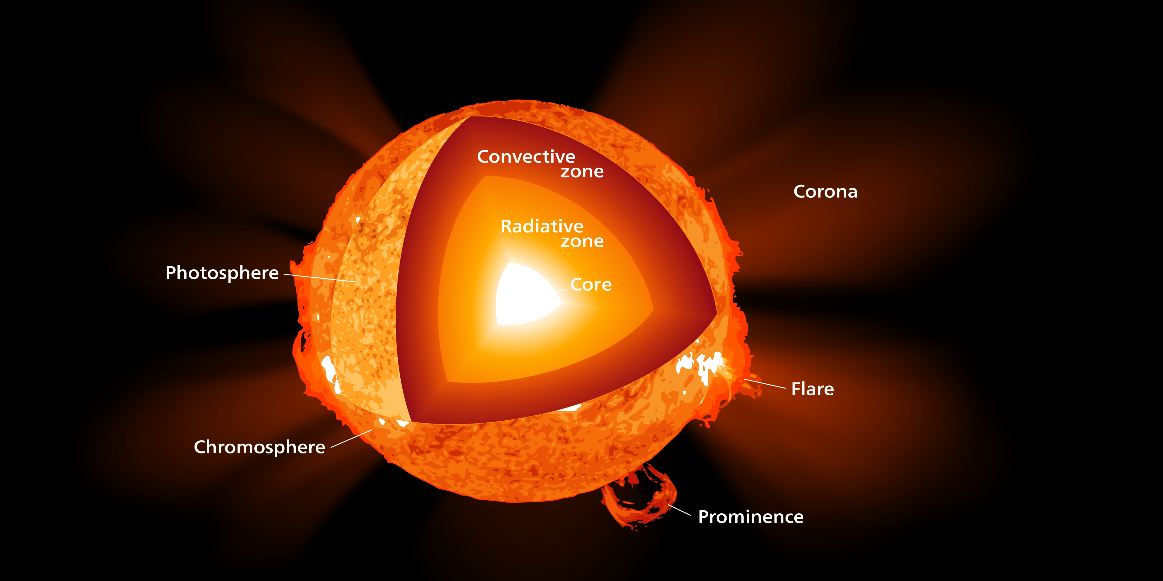 A cut-out diagram of the Sun's layers, labeled.