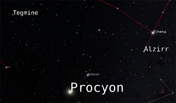 star labels